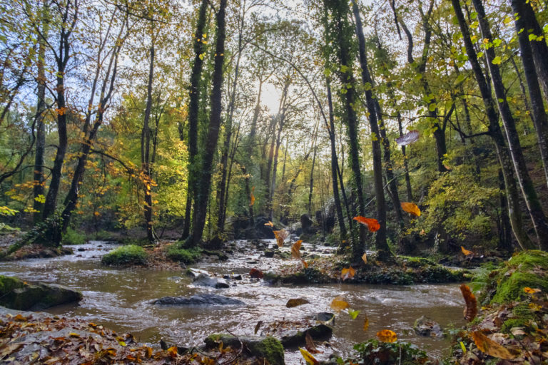 Photos of la brèche au Diable