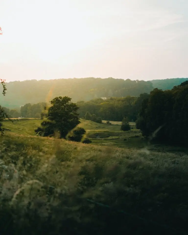 Rapide historique des liens entre la Normandie et la photographie