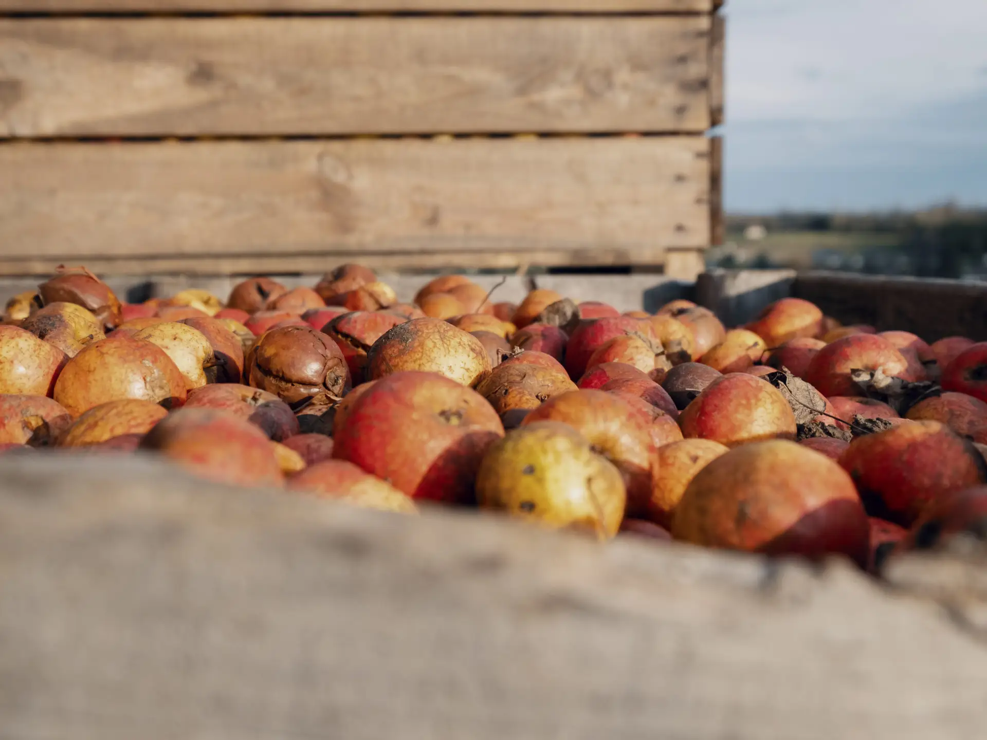 Antoine Marois Calvados Attractivité Decembre2019©photo911 4 scaled