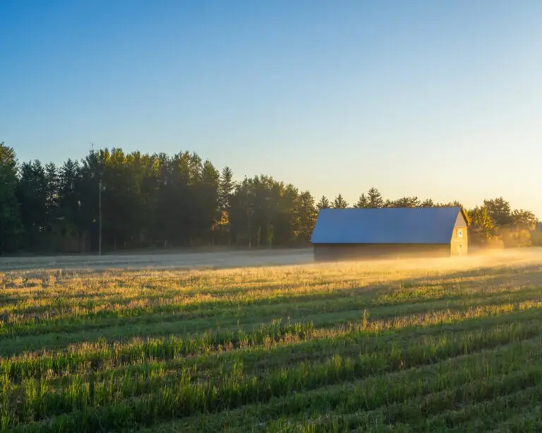 Tranquil sunrise countryside illustration 0410